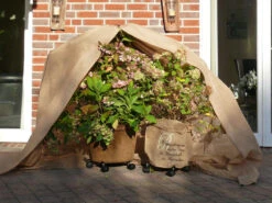 Vlies-Thermomantel, Uni Beige (Art.Nr. Vi36002) -Gartenwelt Angebote Store Wintervlies Thermomantel 5 1280x1280