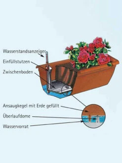 Blumenkasten Aqua Green -Gartenwelt Angebote Store aquaandalucia detail 77365 1 77388 1 1280x1280 1