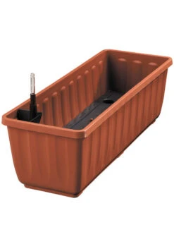 Zuckerblatt, Süßkraut, Süßblatt, Stevia Rebaudiana -Gartenwelt Angebote Store aquaflor tera 78960 4 1280x1280