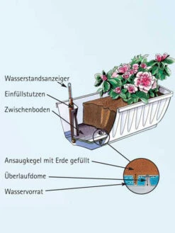 Blumenkasten Aqua Flor Plus -Gartenwelt Angebote Store aquaflorplus detail 77344 1 77361 1 1280x1280