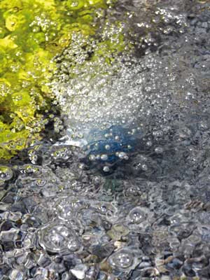 AquaOxy 250 Von OASE (Art.Nr. 34064) 2 AquaOxy 250 Von OASE (Art.Nr. 34064) – Bild 2