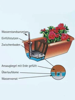 Blumenkasten Aqua Toscana -Gartenwelt Angebote Store aquatoscana detail 77392 1 77398 1 1280x1280