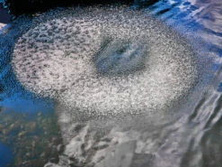 AquaOxy Belüfterring D 60 Cm Von OASE (Art.Nr. 88667) -Gartenwelt Angebote Store beluefterring 3 1280x1280