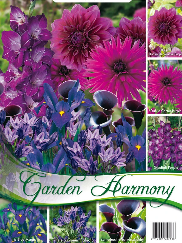 Sortiment Blauer Garten (Art.Nr. 5224530) 1 Sortiment Blauer Garten (Art.Nr. 5224530)