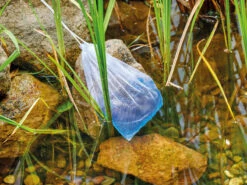 AquaActiv DuoBoost Von OASE -Gartenwelt Angebote Store duoboost6 1280x1280