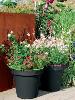 Pflanzkübel E&K Bicolor -Gartenwelt Angebote Store eundk bicolor rund57fc9f0e47970 1280x1280