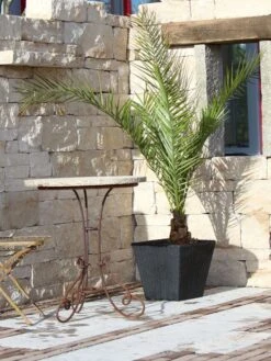 Pflanzkübel Geflecht-Dekor -Gartenwelt Angebote Store flechtkuebel eckig niedrig57ebb4ed38d1b 1280x1280