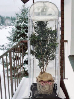 Frost-Schutzhaus SNOW (Art.Nr. V29933) -Gartenwelt Angebote Store frost schutzhaus balkon 1280x1280