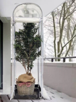 Frost-Schutzhaus SNOW (Art.Nr. V29933) -Gartenwelt Angebote Store frost schutzhaus winter 1280x1280