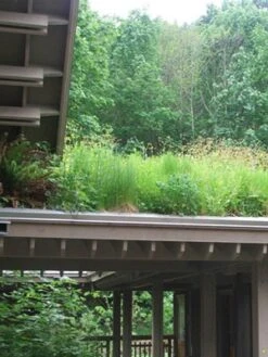 Gründach-Paket Für 15 Qm Dachfläche -Gartenwelt Angebote Store gruendachpaket carport 1280x1280