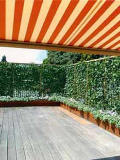 Hedera Helix 'Woerneri' - Immergrüner Efeu - XXL-Produkt -Gartenwelt Angebote Store hecke und balkon j1 78685 4 1280x1280