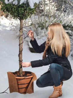 Frostschutz-Heizkabel Für Kübelpflanzen -Gartenwelt Angebote Store heizkabel frostschutz 1280x1280