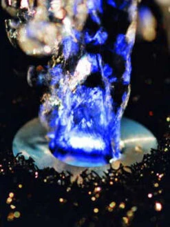 LunaLed 9s Von OASE (Art.Nr.50115) -Gartenwelt Angebote Store lunaled6s 2 75837 2 1280x1280