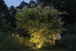 LunAqua Power LED Set 1 Von OASE (Art.Nr.42633) -Gartenwelt Angebote Store lunaqua power led 956d5419c04366 1280x1280