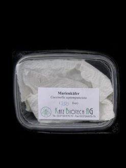 7-Punkt-Marienkäfer (Art.Nr. KB2016) -Gartenwelt Angebote Store marienkaefer versand 80491 1 1280x1280