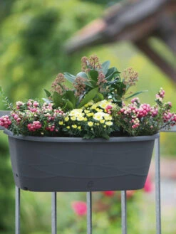 Blumenkasten 'Maya' -Gartenwelt Angebote Store maya stimmung5a1ff64608288 1280x1280
