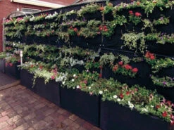 Overgrowing Mat Von Velda (Art.Nr.Vel127590) -Gartenwelt Angebote Store overgrowing mat beispiel 1280x1280