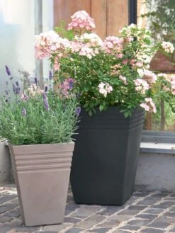 Pflanzkübel Moderno -Gartenwelt Angebote Store pflanzkuebel moderno bepfla 1280x1280