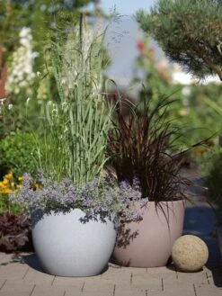 Pflanzkübel Rimini -Gartenwelt Angebote Store pflanzkuebel rimini stimmun 1280x1280