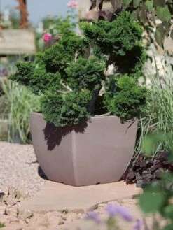 Pflanztopf Ravenna -Gartenwelt Angebote Store pflanztopf ravenna stimmung 1280x1280