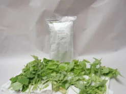 PhytoAmbly-Mix - Raubmilben-Mischung (Art.Nr. KB2038) -Gartenwelt Angebote Store phyto ambly mix 1280x1280