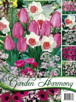 Edle Farbkombination 'Rosa Garten' (Art.Nr. 598242)