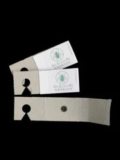 Schlupfwespe (Art.Nr. KB3056) -Gartenwelt Angebote Store schlupfwespe versand verpac 80549 2 1280x1280