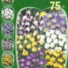 Botanische Krokus-Prachtmischung (Art.Nr. 598226)