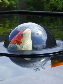 Floating Fish Dome L Von Velda (Art.Nr. Vel123502) -Gartenwelt Angebote Store sphere3 82065 2 1280x1280