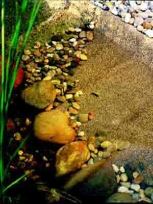 Steinfolie Sand Von OASE 3 Steinfolie Sand Von OASE – Bild 3