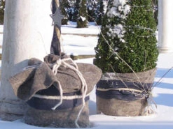 Winterschutz Schafwollmatte Aus Reiner Schafwolle -Gartenwelt Angebote Store steingrau schafswollmatte 1280x1280