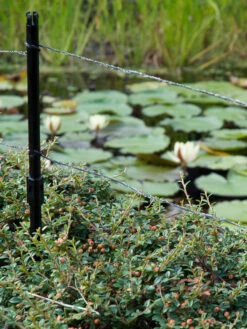 Ultra Protector Von Velda (Art.Nr.Vel128026) 6 Ultra Protector Von Velda (Art.Nr.Vel128026) -Gartenwelt Angebote Store ultraprotector 2 1280x1280