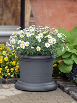 Untersetzer Mit Rollen -Gartenwelt Angebote Store untersetzer rollen stimmung 1280x1280