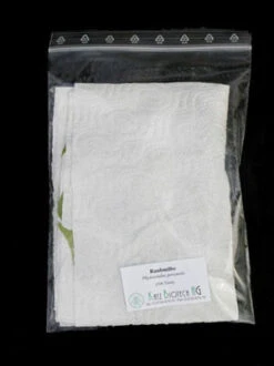 Phytoseiulus-Raubmilbe (Art.Nr. KB4480) -Gartenwelt Angebote Store zipbeutel versand raubmilbe 80537 2 1280x1280